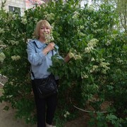 ���������� ���������, ���� ������� ����, 71 ���, ������������ ��� ����� � ���������, c�������� ���������