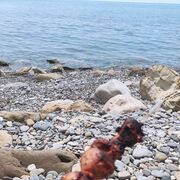 ���������� ��������, ���� ������� Emil, 30 ���, ������������ ��� ������, ����� � ���������, c�������� ���������, ���������