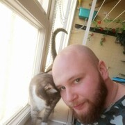 ���������� �����-���������, ���� ������� ���������, 31 ���, ������������ ��� ������, ����� � ���������