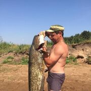 ���������� ���������� �����, ���� ������� ������, 46 ���, ������������ ��� ����� � ���������, c�������� ���������, ���������