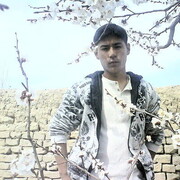 ���������� ���������, ���� ������� Elyorbek, 36 ���, ������������ ��� ������, ����� � ���������