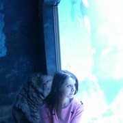  ,   , 33 ,  
