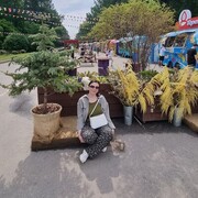  ,   , 42 ,   c 