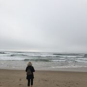 ���������� �����, ���� ������� �����, 39 ���, ������������ ��� ������, ����� � ���������, ���������