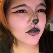 ���������� ������������, ����