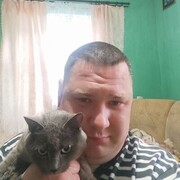  ,   , 41 ,   ,   , 
