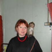 ���������� ����, ���� ������� �������, 51 ���, ������������ ��� ������, ����� � ���������, c�������� ���������