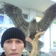  ,   , 37 ,   ,   , c 