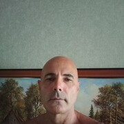  ,   , 50 ,   ,   , c 