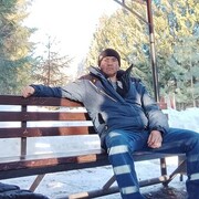  ,   Radis Halico, 41 ,   c 