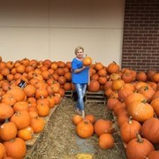 ���������� ���������, ���� ������� ���������, 64 ����, ������������ 