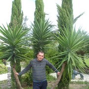 ���������� ���������, ���� ������� �����, 41 ���, ������������ ��� ������, ����� � ���������, c�������� ���������