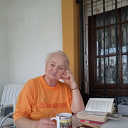 ������� 2019