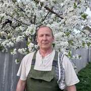   ,   , 66 ,   ,   
