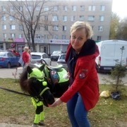  ,   , 51 ,     , c 