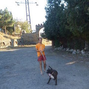  ,   Giorgi, 33 ,   