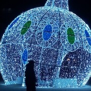 ���������� ���������, ���� ������� ��������, 40 ���, ������������ ��� ������, ����� � ���������, c�������� ���������