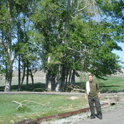  ,   Timur, 42 ,   