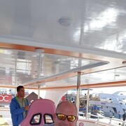 -,   , 46 ,   ,   , c 