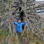 ���������� �������, ���� ������� ����, 53 ����, ������������ ��� ����� � ���������, c�������� ���������, ���������