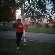  ,   , 71 ,   ,   