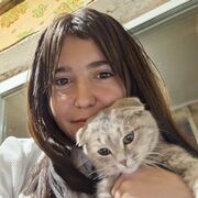  ,   , 19 ,     , c 