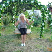 ���������� ����, ���� ������� ��������, 65 ���, ������������ ��� ������