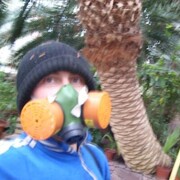 ���������� ����, ���� ������� �����, 49 ���, ������������ ��� ������, ����� � ���������