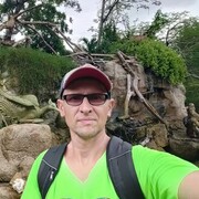 ���������� ������, ���� ������� ������ �, 43 ����, ������������ ��� ������, ����� � ���������