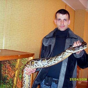 ���������� �������, ���� ������� ����, 44 ����, ������������ ��� ������, ����� � ���������, c�������� ���������