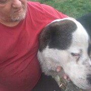 ���������� ��������, ������� �����, 56