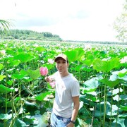 ���������� ���������, ���� ������� Roman, 33 ����, ������������ ��� ���������