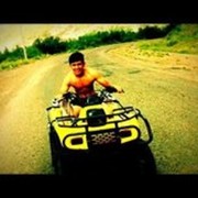  ,   Donik, 29 ,   ,   , c 