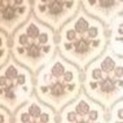 ���������� �������������-����������, ���� ������� Alex, 41 ���, ������������ ��� ������, ����� � ���������, c�������� ���������