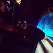 ���������� ������, ���� ������� �����, 28 ���, ������������ ��� ������, ����� � ���������, c�������� ���������