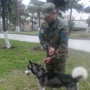  ,   , 31 ,   ,   , c , 