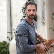 ���������� �����-���������, ���� ������� �����, 32 ����, ������������ ��� ������, ����� � ���������