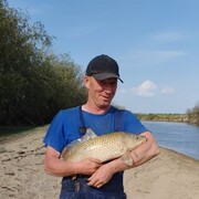  ,   , 53 ,   ,   , c , 