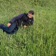  ,   , 51 ,   c 