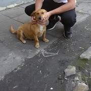  ,   , 33 ,  