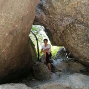  ,   , 29 ,   c 