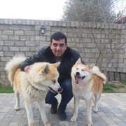 ���������� ������������, ���� ������� ����, 39 ���, ������������ ��� ������, ����� � ���������