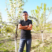 ,   Artak, 40 ,   