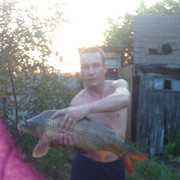  ,   , 43 ,  