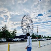 ���������� ����������, ���� ����� ����, 21 ���, ������������ ��� ������, ����� � ���������