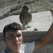 ���������� ������, ���� ������� SHOX, 26 ���, ������������ ��� ������, ����� � ���������, c�������� ���������