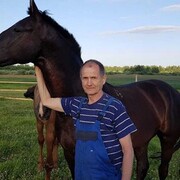 ���������� �������, ���� ������� Leon, 65 ���, ������������ ��� ������, ����� � ���������, c�������� ���������