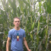  ,   , 50 ,   ,   , c 