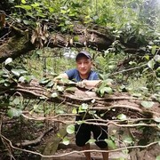  ,   , 38 ,   ,   , c , 