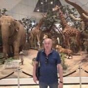 ���������� ����������, ���� ������� ������, 60 ���, ������������ ��� ������, ����� � ���������, c�������� ���������, ���������